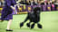 Westminster Dog Show Celebrates 145 Years, But 2021 Will Be Different