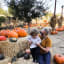 20 Toddler Friendly Fall Activities + A Mom Friendly Giveaway