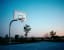 A typical California basketball hoop shot. [Pentax, Portra 400)