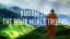 Buddhism: The Four Noble Truths (Understanding what drives suffering)