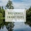 Okefenokee Swamp Tours: Which One to Pick?