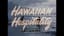 "HAWAIIAN HOSPITALITY" 1960s MATSON HOTELS & NORTHWEST ORIENT AIRLINES TRAVELOGUE HAWAII 55564