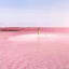 Naturally Pink Lagoon in Mexico Is Like a Real-Life Fairy Tale Dreamscape