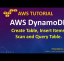 AWS Tutorial - AWS DynamoDB - Create Table Insert Items Scan and Query Table