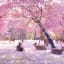 A Herd Of Deer Relaxing By Cherry Blossom Trees In Nara, Japan