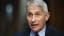 U.S. could see 100,000 new Covid-19 cases per day, Fauci says - STAT