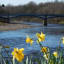 Spring Throwback: Haltwhistle, Northumberland