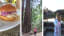 Add this California Wine Country and Muir Woods Tour to your...