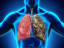 Stem Cell Therapy for COPD, Low-Cost COPD Treatment in India