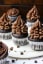 Mini Chocolate Cupcakes with Chocolate Buttercream