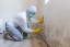 Mold Removal Services, Black Mold Removal