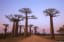 Best Things to See and Do in Madagascar