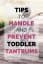 Tips To Handle And Prevent Toddler Tantrums