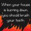 When your house is burning down, you should brush your teeth