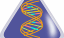 New discovery shows human cells can write RNA sequences into DNA