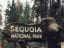 Sequoia National Park has never felt so precious: