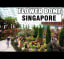 SINGAPORE HOLIDAY VIDEO Flower Dome at Gardens By The Bay 2018