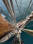 I climbed the rigging of a tall ship today