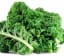 Health Benefits of Kale for the Immune System, Heart and More