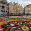 A Glance of Brussels Flower Carpet - A fun Friday!
