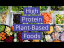 High Protein Plant-Based Foods [Best Plant-Based Protein Food & Sources for Vegan & Vegetarian List]