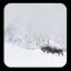 Bison latifrons trudging through a blizzard