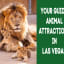Best Guide to Animal Attractions in Las Vegas to Henderson