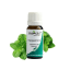 Peppermint Essential Oil (10 ml)