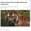 China reverses ban on tiger bones and rhino horns