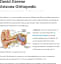 Ear Infection Treatments by Dr. David Greene Arizona Orthopedic