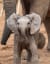 It’s my cake day and I say we need more baby elephants!! <3