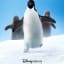 Disneynature's Penguins is Fun for All! ~ Rachel Simmonds Fitness