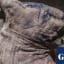 Dozens of cat mummies found in 6,000-year-old tombs in Egypt