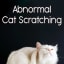 Abnormal Cat Scratching - Quiet Corner