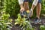 New Tech Innovations Inspire More Millennial Gardeners Than Ever