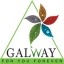 Glaze Galway - A Successful Ruby Distributor of Glaze Trading India
