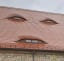 Creepy ass face looking windows in this roof...