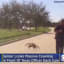 Open Post: Hosted By A Cop Not Noticing The Giant Spider Behind Him