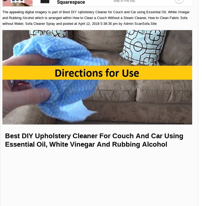 Mix Best Diy Upholstery Cleaner For Couch And Car Using