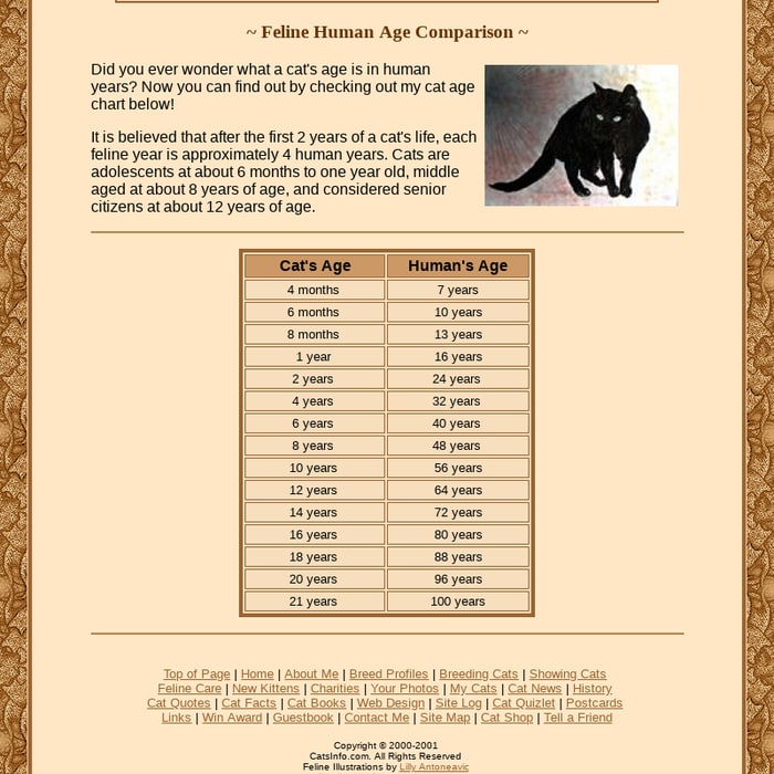 Mix Feline Human Age Comparison