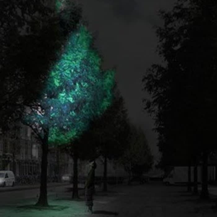 Mix · In The Not So Distant Future Glow In The Dark Trees Could
