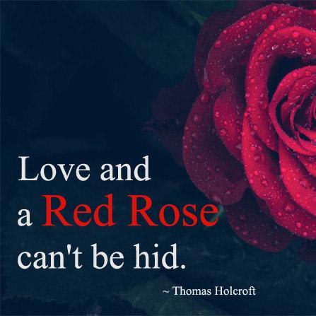 Mix Beautiful Red Rose Quotes And Sayings About Love And Life
