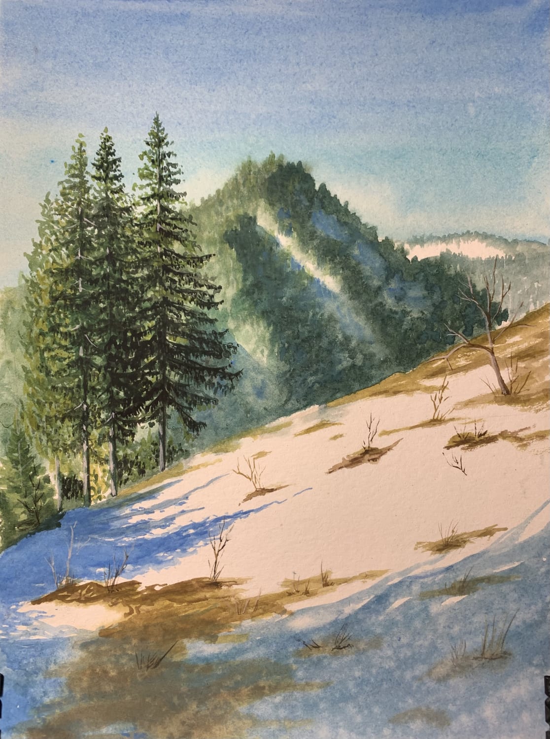 3 pines, watercolor en plein air. (Those pines are all that's left in 30 years from a lush forest above my house. I used to gather chanterelle mushrooms right at their feet, there was always a lot of them...)