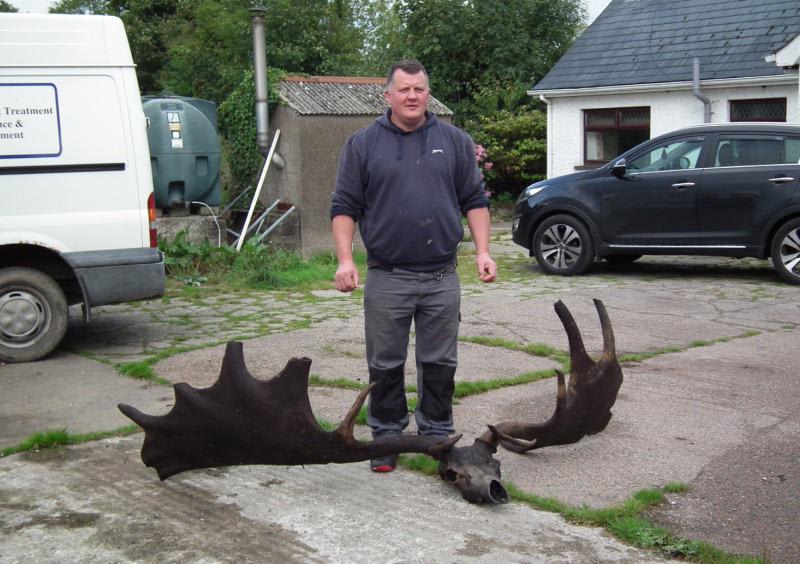 10,000 year old Irish elk fished out of Ireland