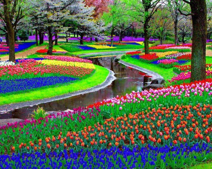 Keukenhof Park, Lisse, The Netherlands Also called the “Garden of Europe,” Keukenhof Park which covers 80 acres is planted with over 7 million flower bulbs every year. Though the park is only open from March to May, it has been around since 1949 and remains a major attraction for tourists. Beautiful