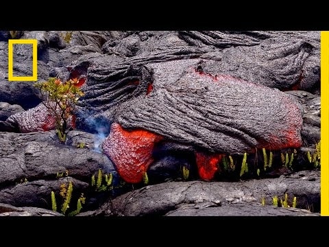 Follow a Lava River’s Mesmerizing Path of Destruction | Short Film Showcase