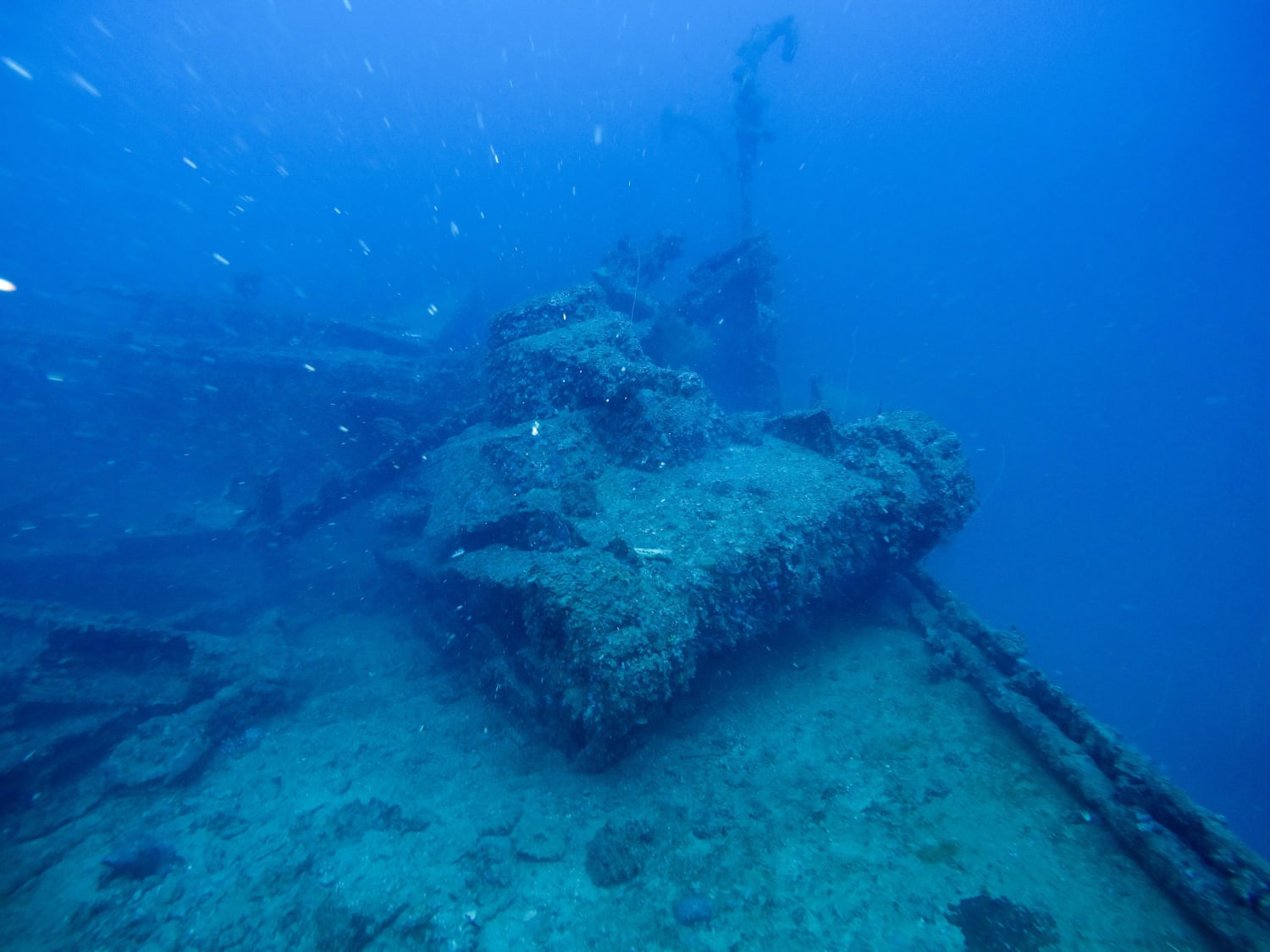 WWII Japanese tank. 168 feet below on the San Francisco Maru. Chuuk Lagoon, Micronesia.