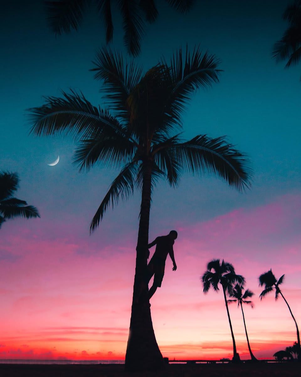 Hawaii 🌴