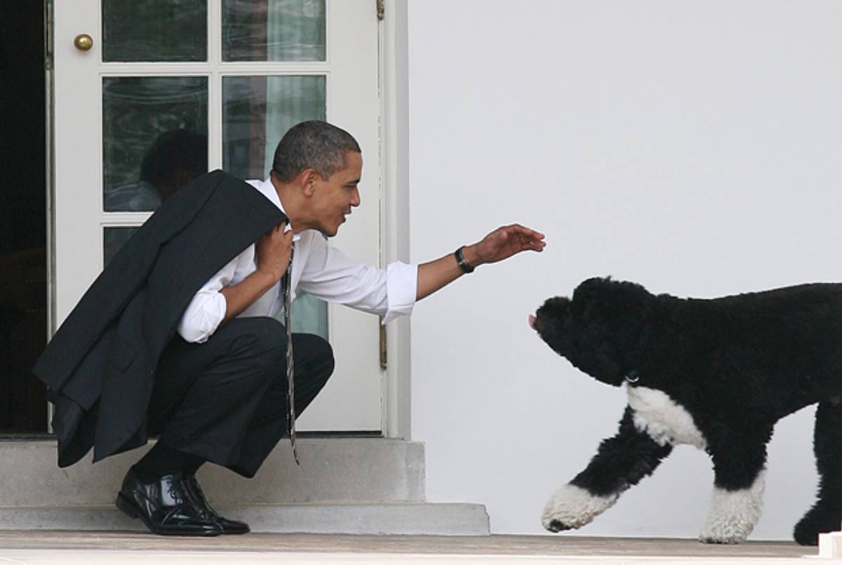 When a president loves his dog