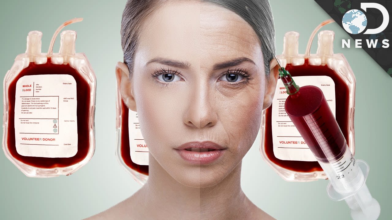 Is Young Blood The Secret To Eternal Youth?